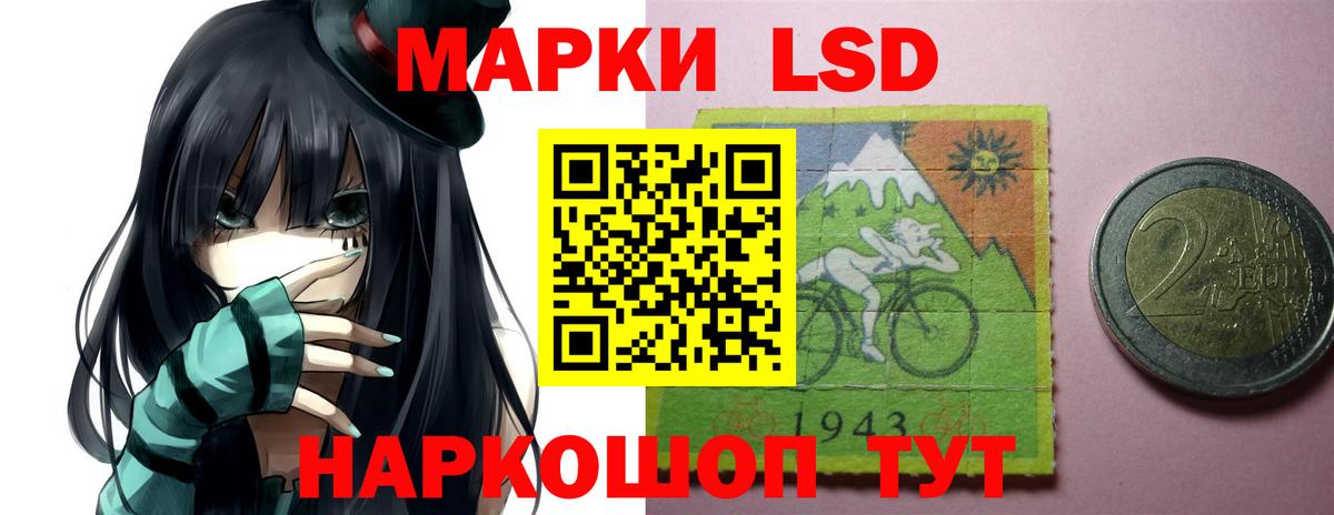 Лсд 25 экстази кислота  LSD-25 экстази кислота  Бердск  Вход с VPN 