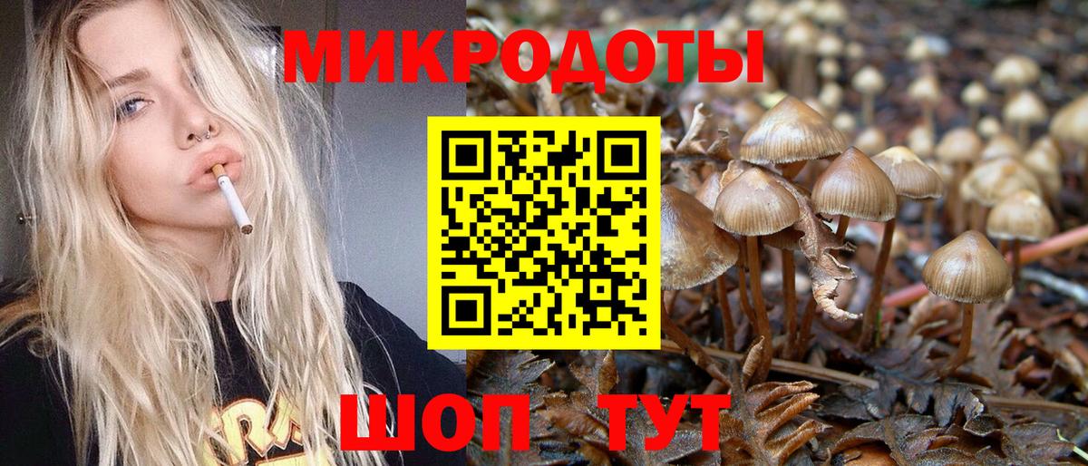 Галлюциногенные грибы ЛСД  Псилоцибиновые грибы GOLDEN TEACHER  цена наркотик  Бердск  Вход с VPN 