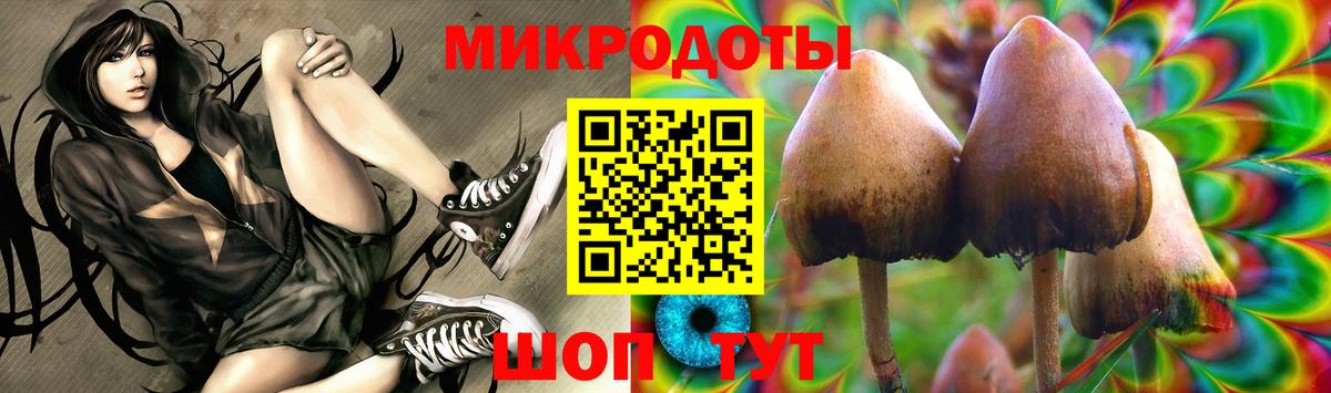 Псилоцибиновые грибы Psilocybine cubensis Бердск